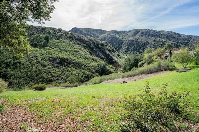 16 Holster Ln, Bell Canyon, CA 91307 - photo 2