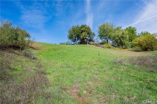 16 Holster Ln, Bell Canyon, CA 91307 - photo 6