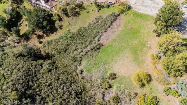 16 Holster Ln, Bell Canyon, CA 91307 - photo 24