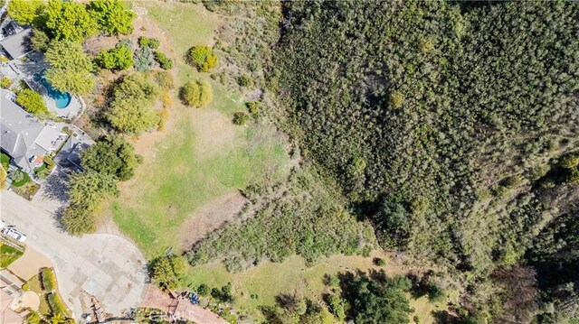 16 Holster Ln, Bell Canyon, CA 91307 - photo 23