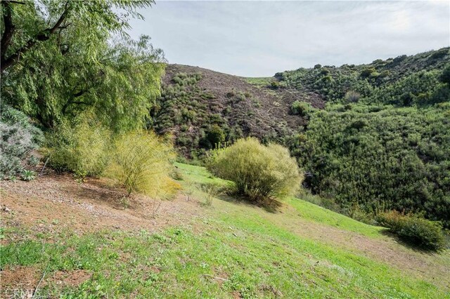 16 Holster Ln, Bell Canyon, CA 91307 - photo 4