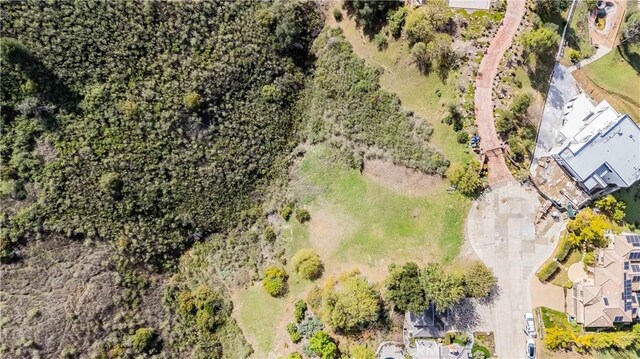 16 Holster Ln, Bell Canyon, CA 91307 - photo 21