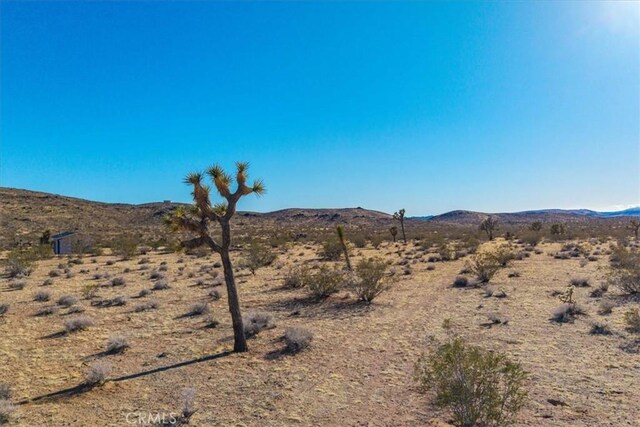 1631 Alta Ave, Landers, CA 92285 - photo 12
