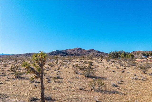 1631 Alta Ave, Landers, CA 92285 - photo 16