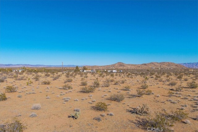 1631 Alta Ave, Landers, CA 92285 - photo 19