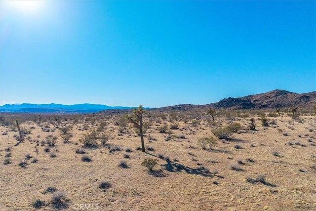 1631 Alta Ave, Landers, CA 92285 - photo 17