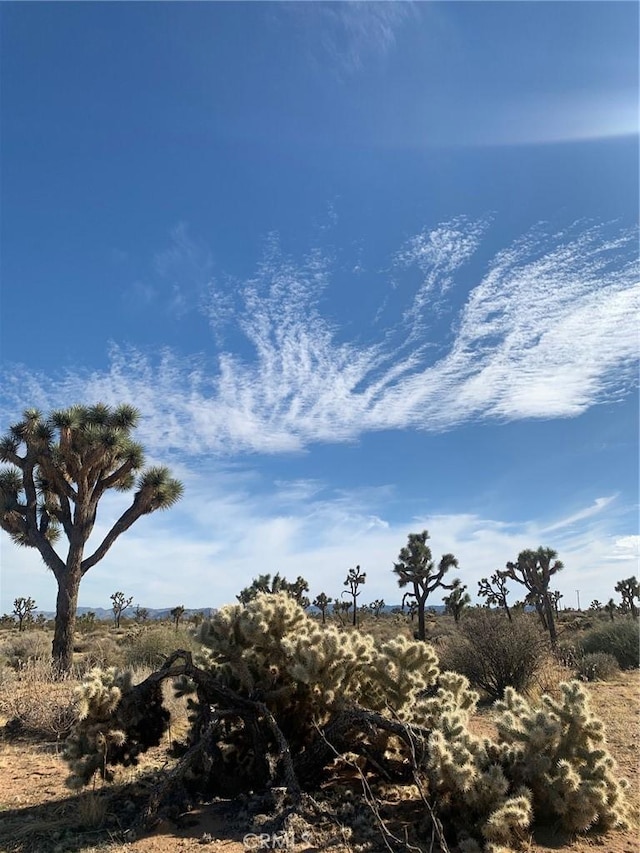 57816 Pajara Rd, Yucca Valley, CA 92284