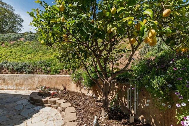 exterior space with fence