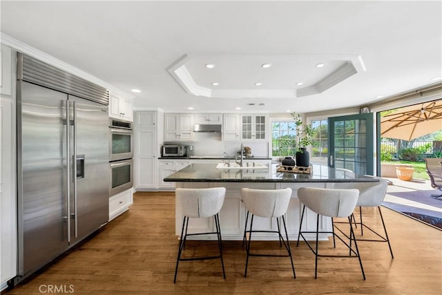 kitchen with white cabinetry, under cabinet range hood, appliances with stainless steel finishes, and a raised ceiling