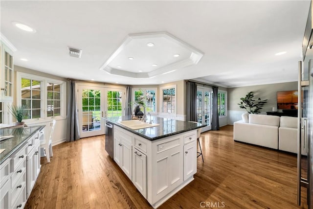 kitchen featuring a tray ceiling, a sink, wood finished floors, stainless steel dishwasher, and visible vents