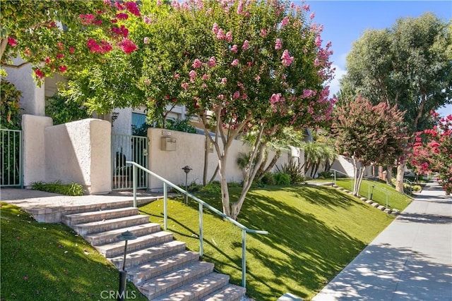 62051/2 Randi Ave, Woodland Hills, CA 91367 - photo 2