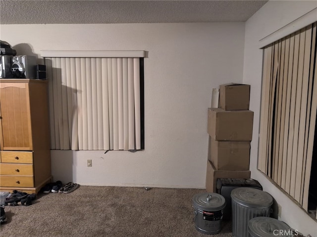 6613 Sunnyhill Rd, Joshua Tree, CA 92252 - spare room with carpet floors and a textured ceiling
