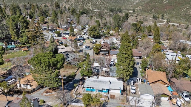 13954 Hazel Dr, Lytle Creek, CA 92358 - birds eye view of property
