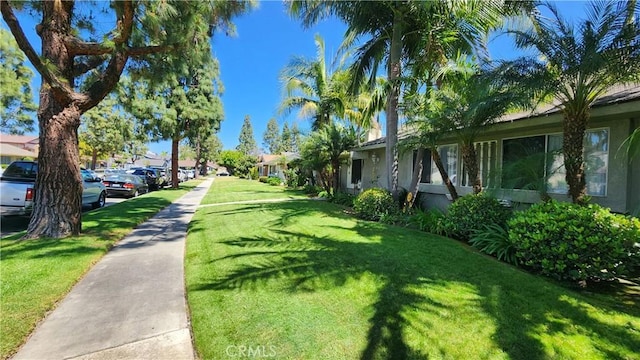 414 Nobel Ave Unit D, Santa Ana, CA 92707 - view of green lawn featuring a residential view
