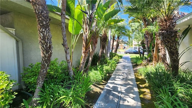 414 Nobel Ave Unit D, Santa Ana, CA 92707 - view of street