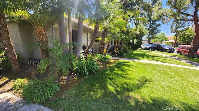 414 Nobel Ave Unit D, Santa Ana, CA 92707 - view of grassy yard