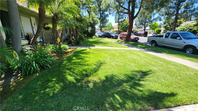 414 Nobel Ave Unit D, Santa Ana, CA 92707 - view of grassy yard