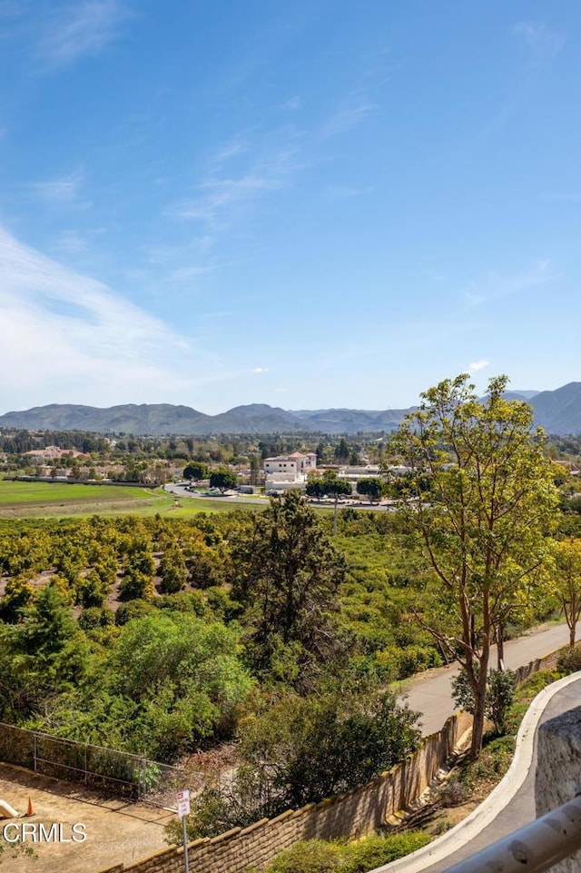view of mountain feature