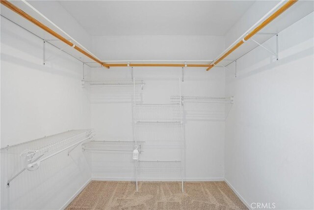 spacious closet with carpet