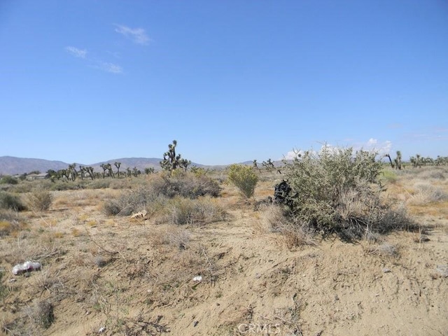 12 Avenue N, Palmdale, CA 93550