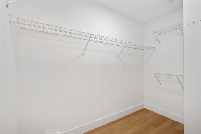 walk in closet featuring light wood-style flooring