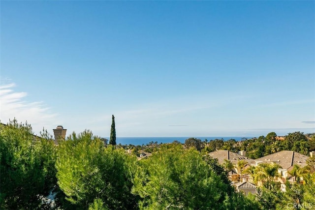 view of local wilderness featuring a water view