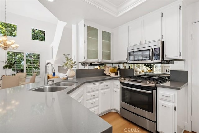 kitchen featuring a sink, appliances with stainless steel finishes, ornamental molding, and white cabinetry