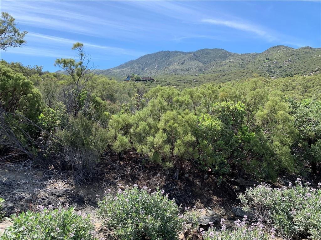 0 Toro Vis, Mountain Center, CA 92561