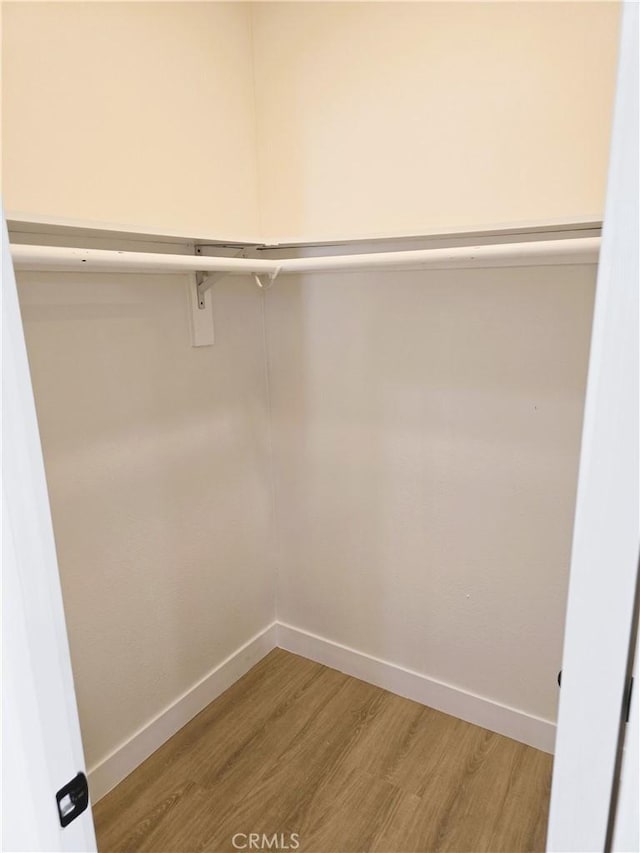 spacious closet with light wood-style flooring