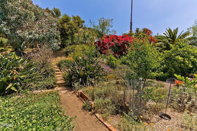 view of yard with a vegetable garden