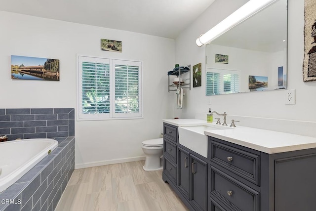 full bathroom with toilet, a bath, vanity, and plenty of natural light
