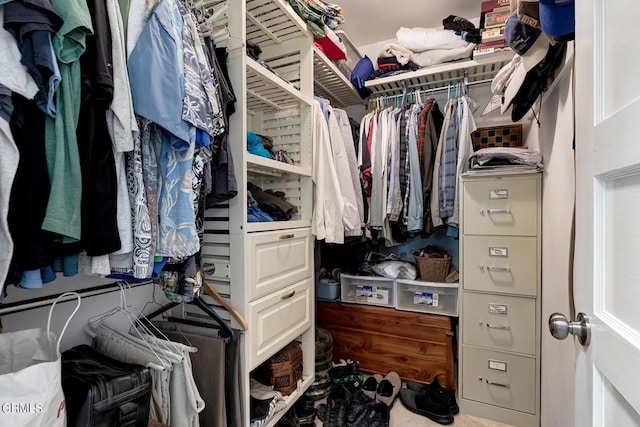 view of spacious closet