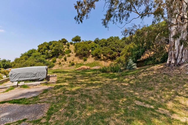 6531 Tokay Rd, Tujunga, CA 91042 - photo 41