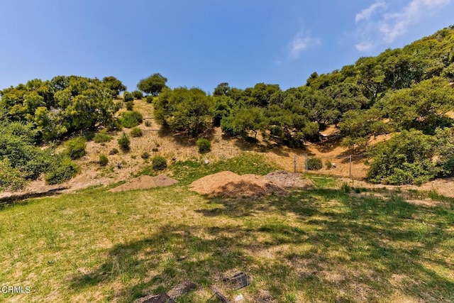 6531 Tokay Rd, Tujunga, CA 91042 - photo 42