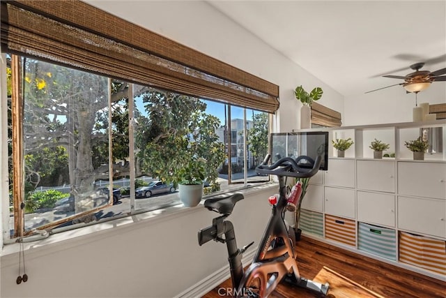 workout area featuring a ceiling fan and wood finished floors