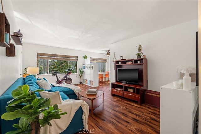living room featuring dark wood finished floors and ceiling fan
