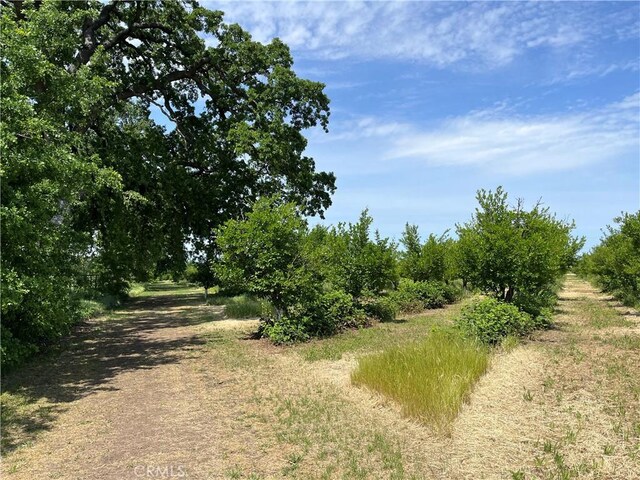 11122 Schafer Ave, Los Molinos, CA 96055 - photo 22