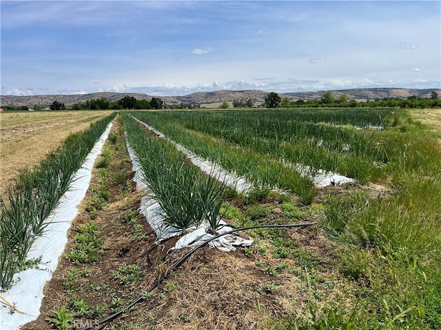 11122 Schafer Ave, Los Molinos, CA 96055 - view of yard featuring a view of countryside and a mountain view