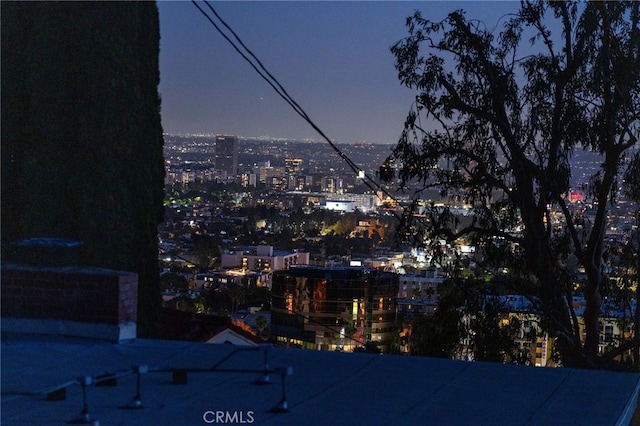8017 Floral Ave, Los Angeles, CA 90046 - view of city
