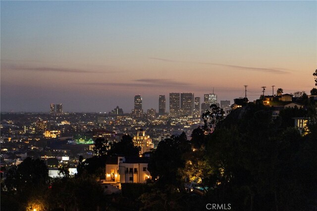 8017 Floral Ave, Los Angeles, CA 90046 - view of city