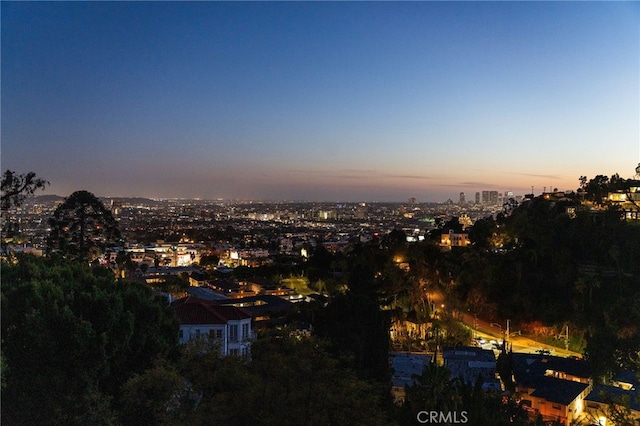 8017 Floral Ave, Los Angeles, CA 90046 - city view