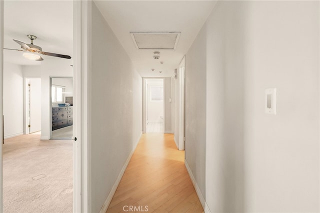 8017 Floral Ave, Los Angeles, CA 90046 - hallway with attic access, baseboards, and light wood-type flooring