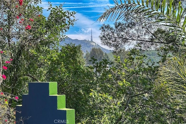 mountain view