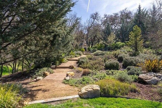 1065 Burnt Rock Way, Templeton, CA 93465 - view of yard