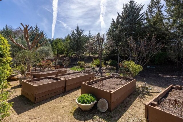 1065 Burnt Rock Way, Templeton, CA 93465 - view of yard featuring a garden