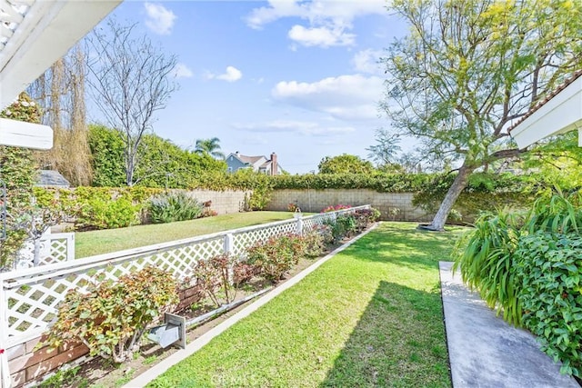 view of yard