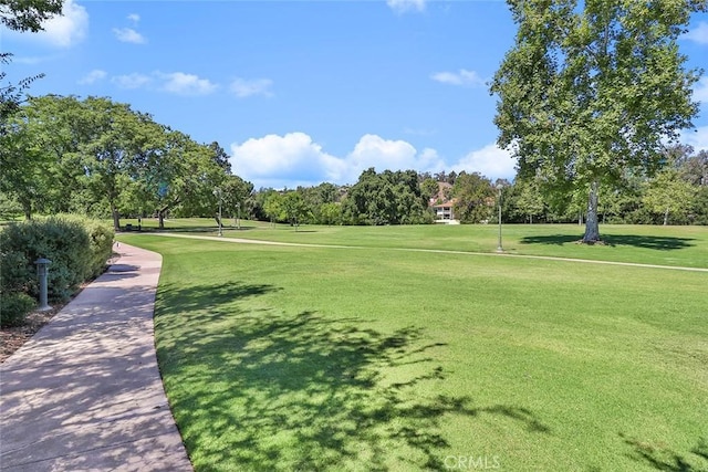 23500 Park Sorrento Unit D34, Calabasas, CA 91302 - surrounding community featuring a yard and view of scattered trees