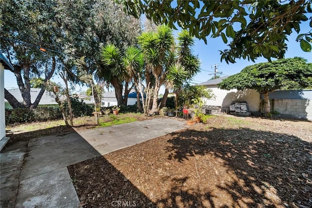 view of yard with a patio area and fence