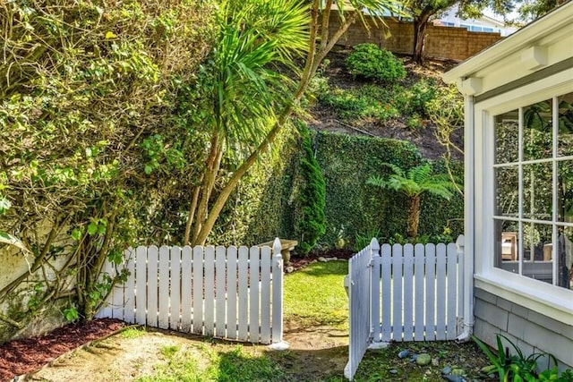 33972 Cape Cv, Dana Point, CA 92629 - view of yard featuring fence