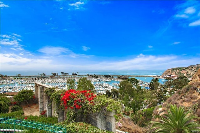 33972 Cape Cv, Dana Point, CA 92629 - water view